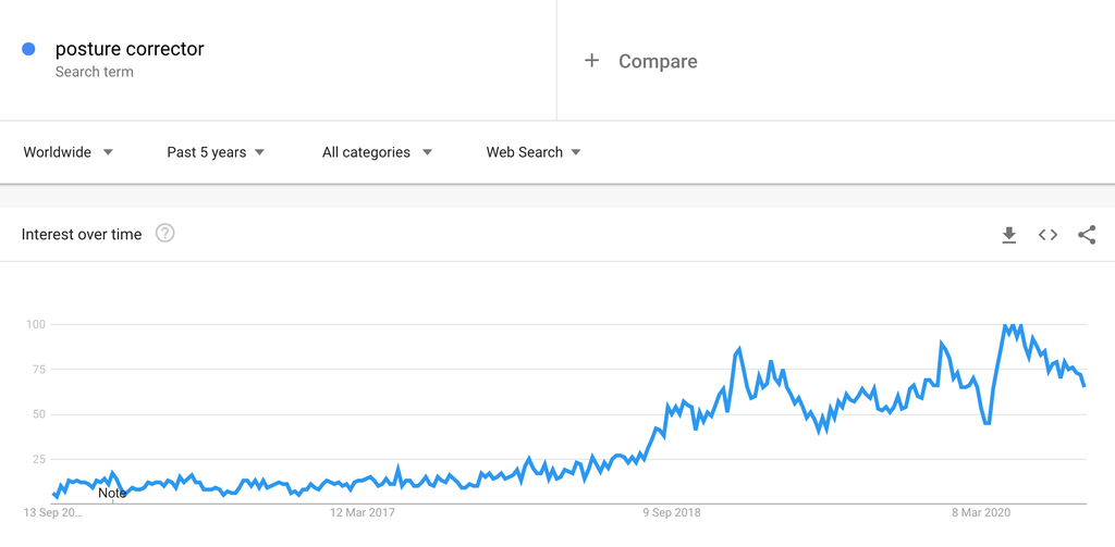 Google Trends Chart for Posture Correctors