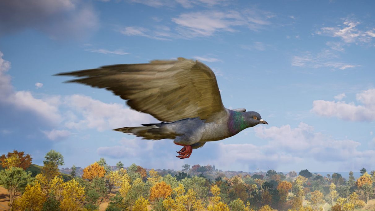 A pigeon flying across Assassin's Creed Valhalla